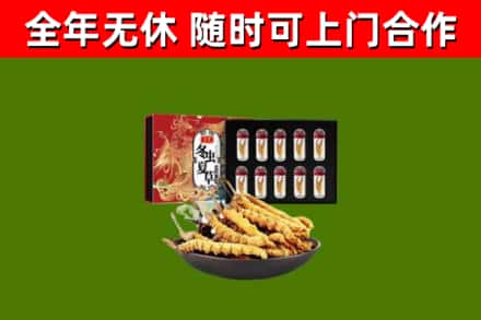 市南回收冬虫夏草价格